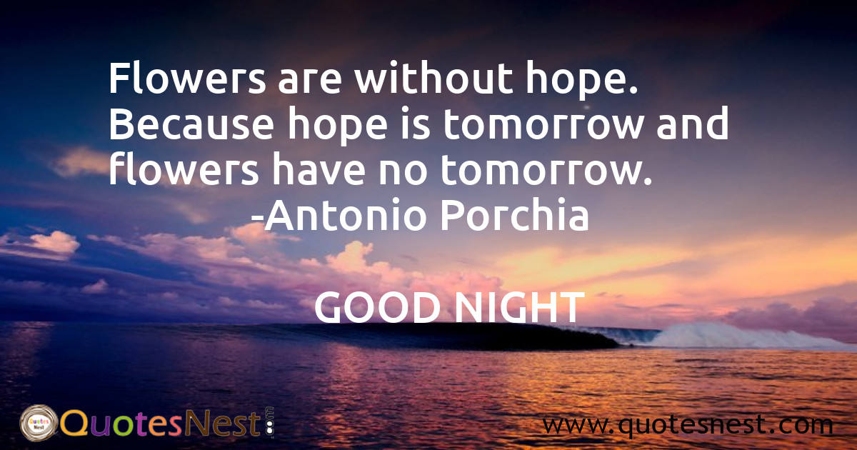 Hope_Antonio Porchia_5_small